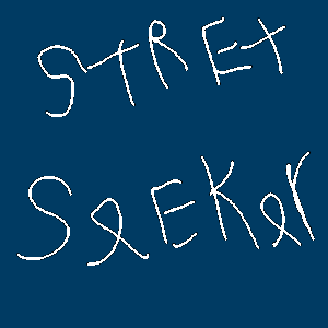 street_seeker_G_P